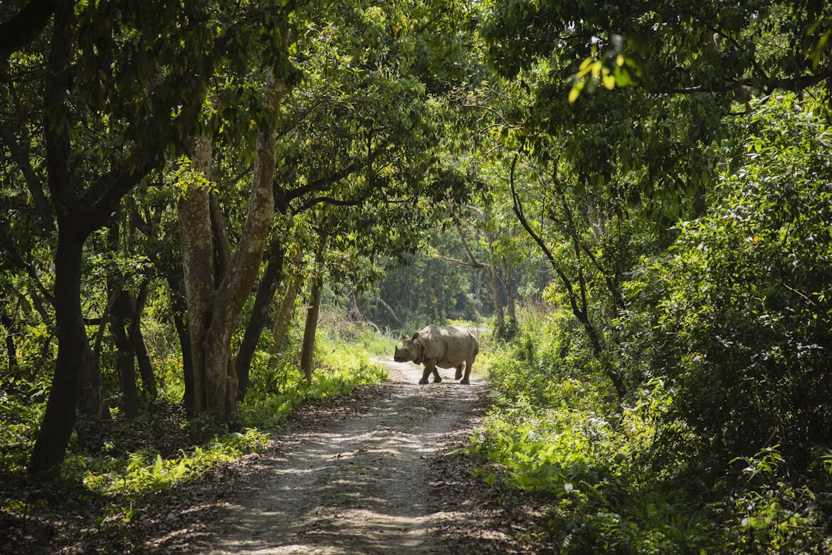 Chitwan